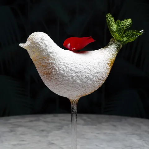 Райская птица